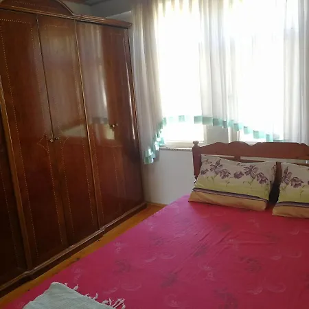 Noyan Kargı